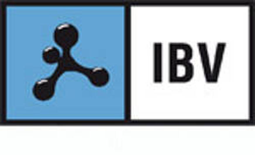 IBV logo